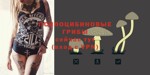 COCAINE Богородск