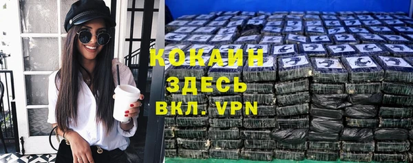 соль ск Богородицк