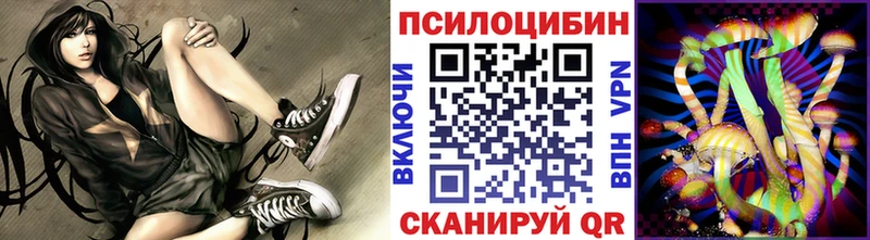 Псилоцибиновые грибы Psilocybine cubensis  Козловка 